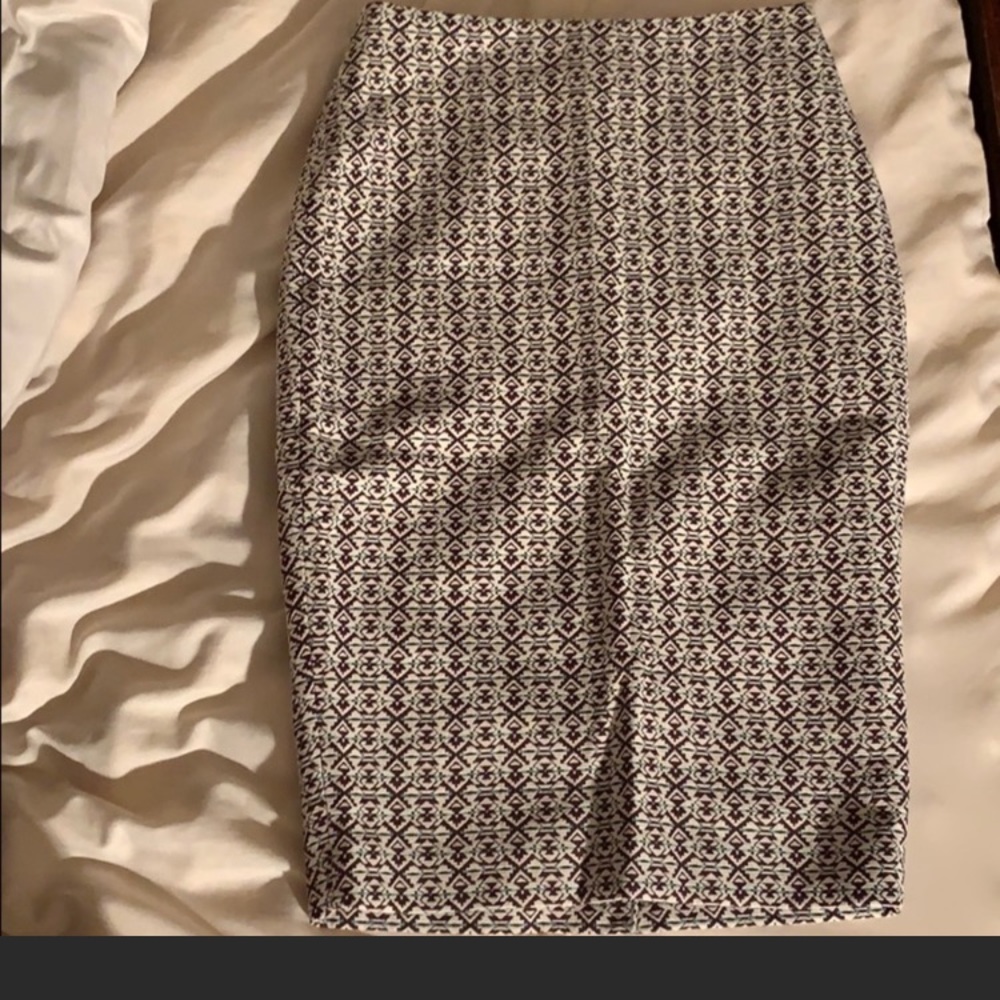 The Limited Skirt